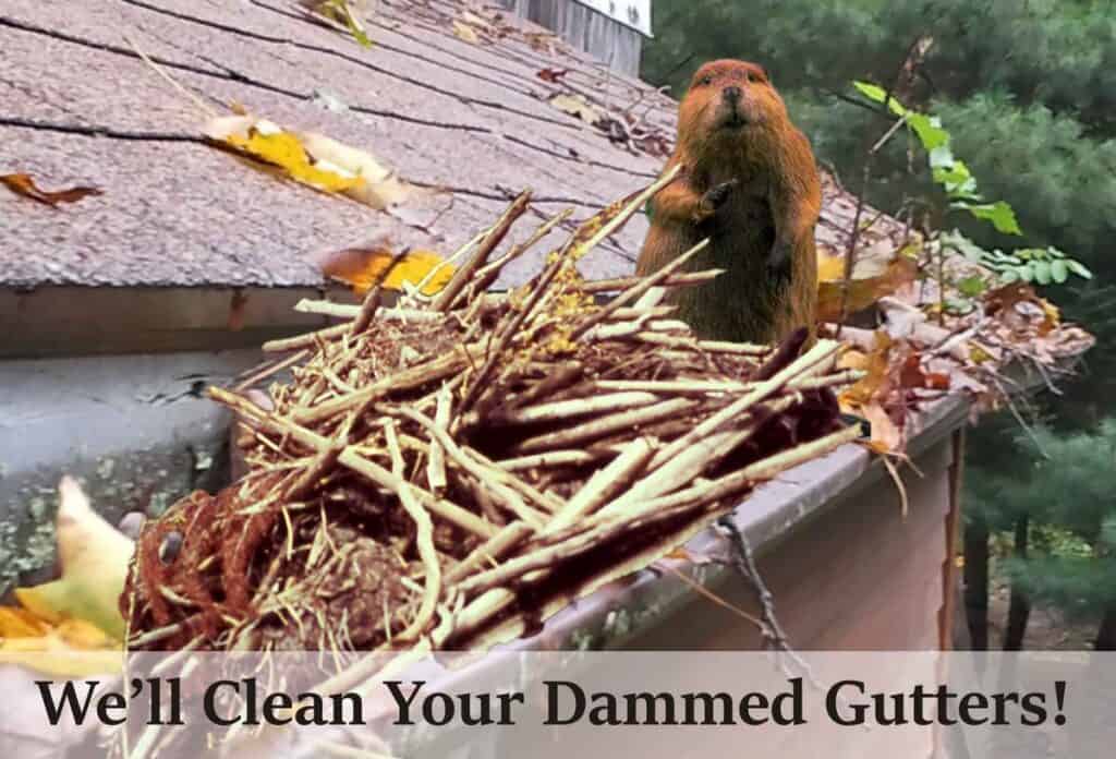 PUIRI Gutter Cleaning