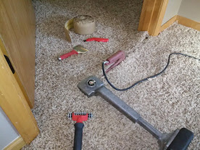 Carpet pet damage repair in Astoria, OR by PUIRI, fixing scratches, stains, and torn carpet areas.