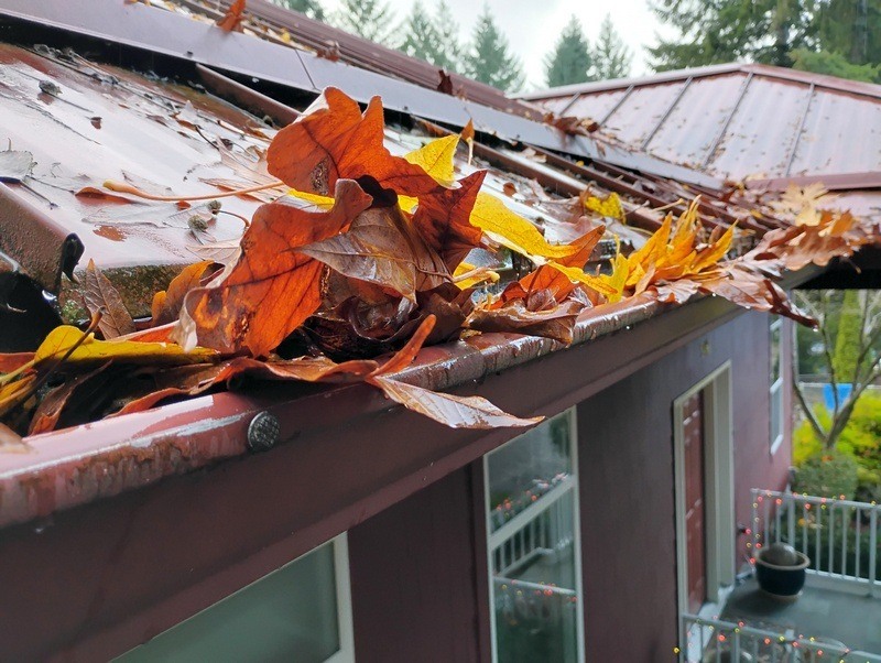 Close-up of a gutter filled with leaves and debris, causing water overflow.