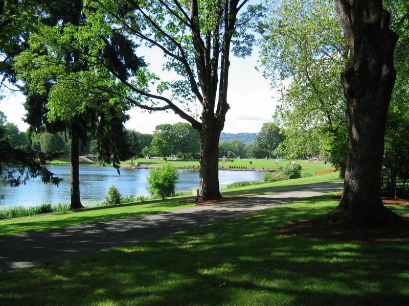 Tree-filled parks and tree-lined streets in Longview, WA, a certified Tree City USA.