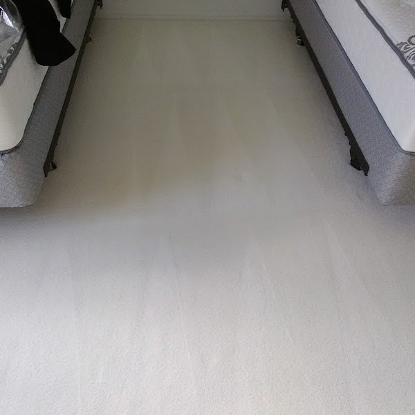 Professional carpet replacement in Longview WA saves homeowners money.