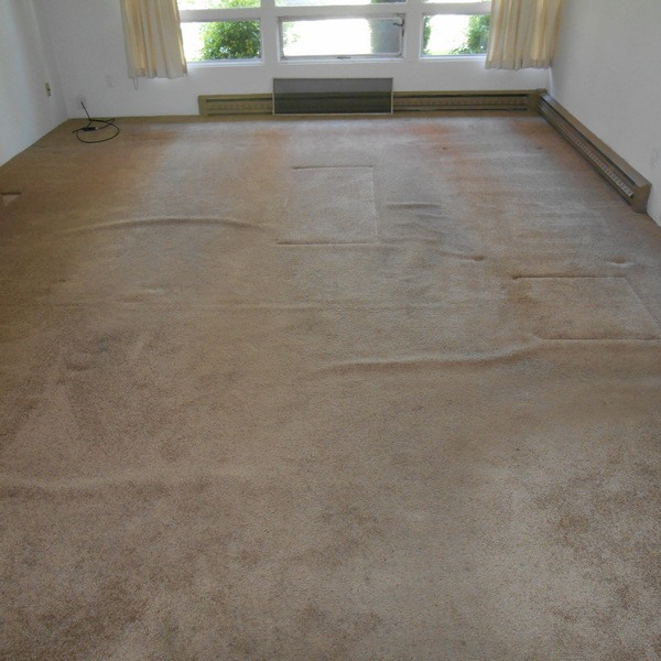 puiri carpet stretching longview