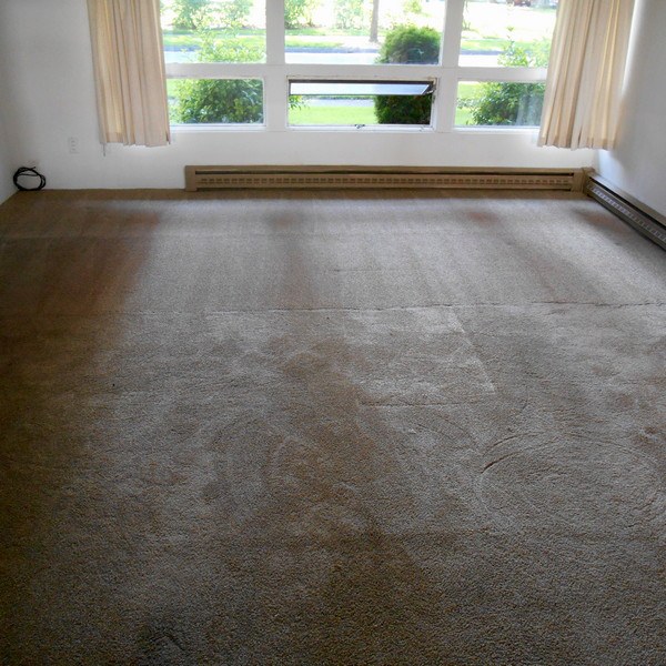 puiri carpet stretching longview1