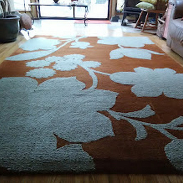 puiri rug cleaning